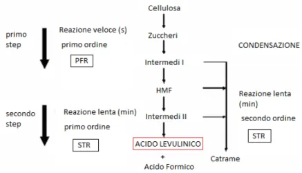 Figura 3.3. Conversione chimica della cellulosa ad Acido Levulinico (prodotto principale), acido  formico (sottoprodotto) e catrame (prodotto minore di condensazione) nei due reattori del processo 