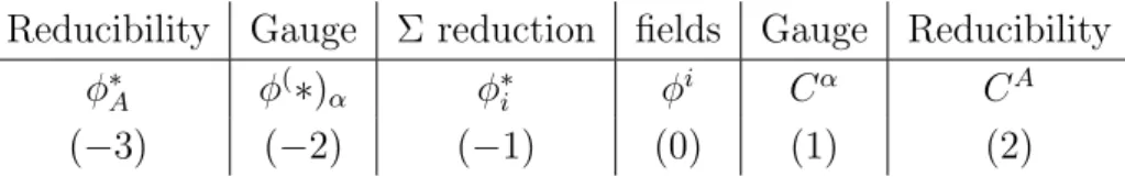 Figure 2.2: Extended space of variables. The number in the third line is the ghost number.
