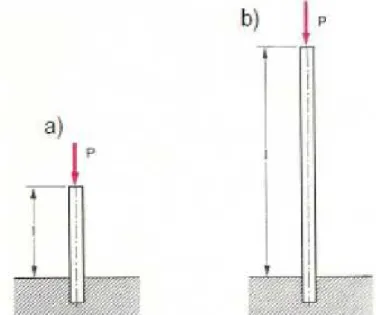 Figura 10: Elementi verticali caricati in punta: a) elemento tozzo, b) elemento snello