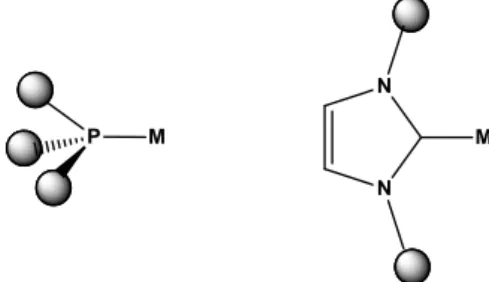 Figura 1.10 Interazione dei sostituenti laterali nelle fosfine e nei carbeni NHC 