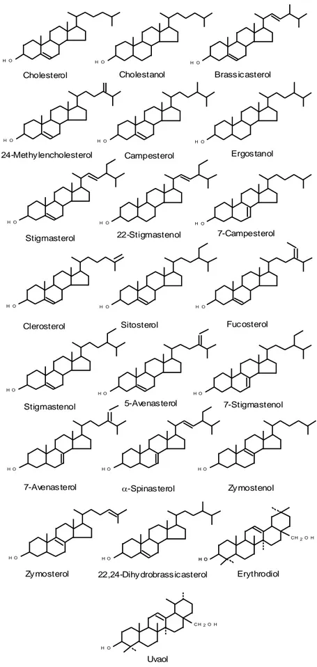 Fig. 5 Strutture dei principali steroli (e dialcoli triterpenici) 