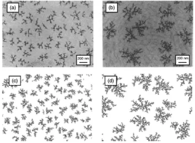 Figura 1.12: Immagini TEM di isole formate dal deposito di cluster di Sbsu HOPG (highly oriented pyrolytic graphite) a: (a) 298 K; (b) 373 K