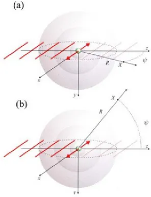 Fig. 1.2: Descrizione classica del processo di diffusione di raggi X da parte di un elettrone
