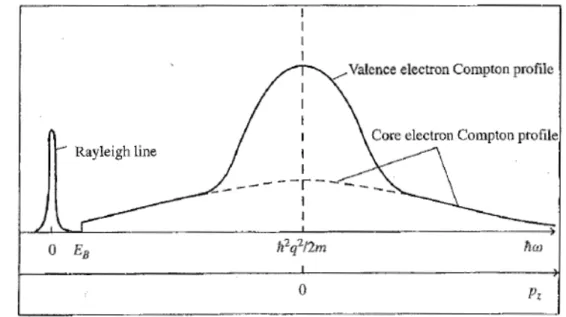 Fig. 2.4: Profilo Compton confrontato con la diffusione elastica di Rayleigh, espressi sia in termini   di perdita energetica ħω, sia in termini di quantità di moto dell'elettrone p z   
