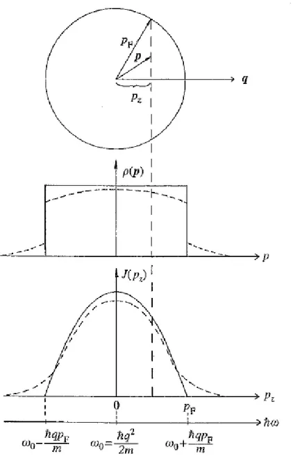 Fig. 2.5: Profilo Compton di un gas di elettroni liberi con momento di Fermi p F  . La corrispondente  densità elettronica  ρ ( p)  nello spazio dei momenti, per una direzione di p, è rappresentata per 