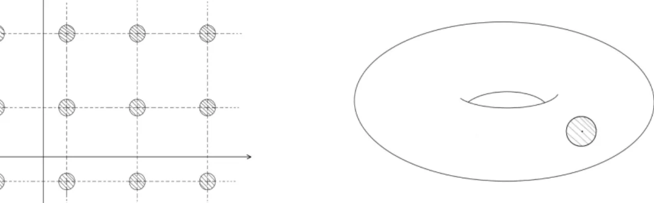 Figura 1.4: Rivestimento p : R 2 −→ T del toro.