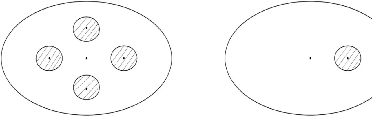 Figura 2.1: Rivestimento ramicato di grado 4 del disco.