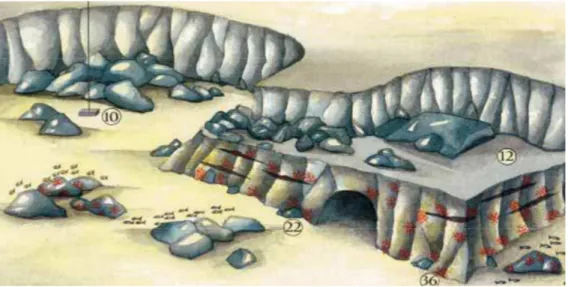 Figura 4: disegno della grotta sottomarina della Colombara (http://www.gerorinaldo.it)