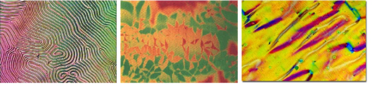 Figure 4: (a) Cholesteric fingerprint texture. The line pattern is due to the helical structure of the cholesteric phase, with the helical axis in the plane of the substrate