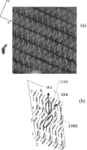 Figure 1.12: 8-CB ribbons on a MoS 2 surface. (a) STM image of the 8-CB adsorption. (b) Microscopical structure refined by XRD