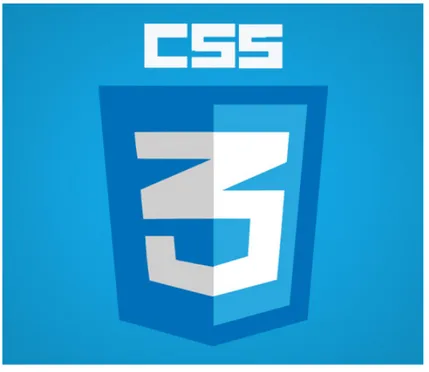 Figura 2.2: Logo CSS3
