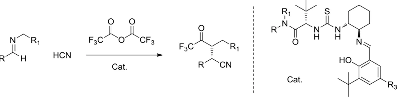 Figura 1.4: alcaloide della cincona derivatizzato con un gruppo tiourea in rosso 