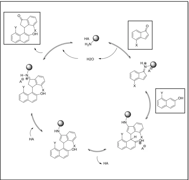 Figura 19: Possibile ciclo catalitico proposto per la reazione di interesse. 