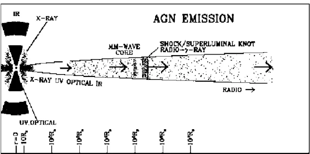Fig. 6. Processi di emissione nelle diverse regioni di un jet (Marscher, 2005). 