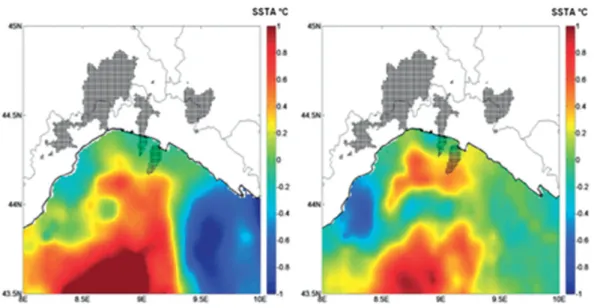 Figura 26: Mappe raffiguranti le anomalie delle SST prodotte dal JPL ROMS (a sinistra) e (a destra) dal CNR MED e zone di precipitazione cumulata (regioni ombrate) superiore ai 50 mm, osservata nelle 24 ore del 4 novembre 2011 (Fonte: articolo di Rebora et