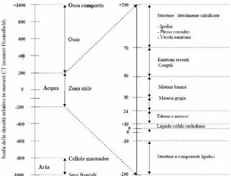 Figura 5: scala delle densità in unità HU 