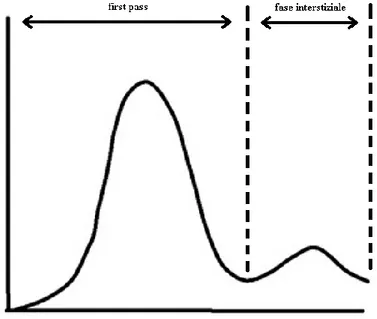 Figura 6: grafico di una curva tempo concentrazione con andamento della fase di first  pass e interstiziale