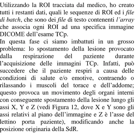 Figura  12:  rappresentazione  dell’acquisizione  delle  slice  con  possibile  traslazione lungo l’asse X,Y e Z