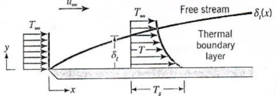 Fig. 1.4. Strato limite termico. 