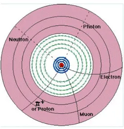 Figura 2.2: Sezione dell’Inner Detector. Sono evidenziati piani di rivelatori a pixel (in blu), piani di rivelatori a strip (in verde), rivelatore a radiazione di transizione (in rosa).