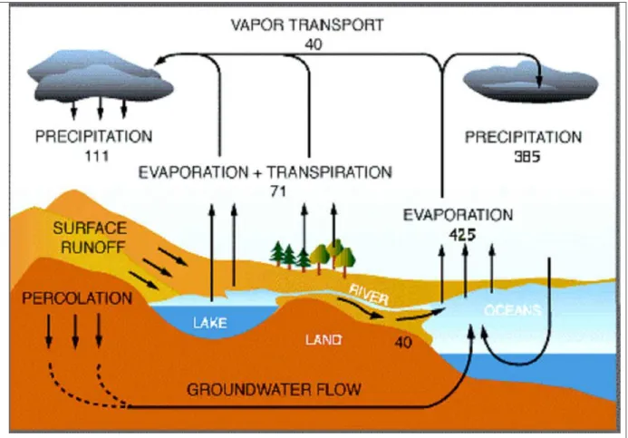 Figure 2.1 Hydrological cycle,  Values in 10 3  km 3 /yr ( http://www.globalchange.umich.edu ).