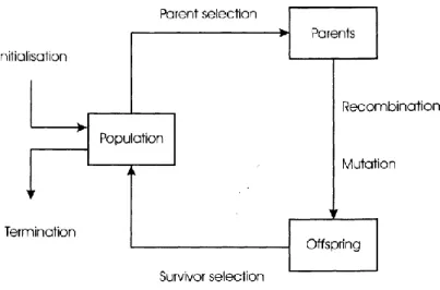 Figura 2.1: Generico schema a blocchi di un algoritmo evolutivo. La valutazione avviene all’interno del blocco  della popolazione[1]