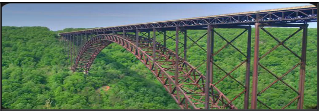 Figura 1.12: il New River George Bridge, situato vicino a Fayetteville, West Virgina, USA.