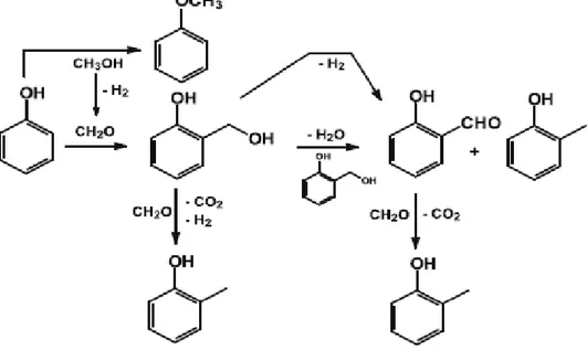 Figura 15 Schema di reazione su MgO. 26   