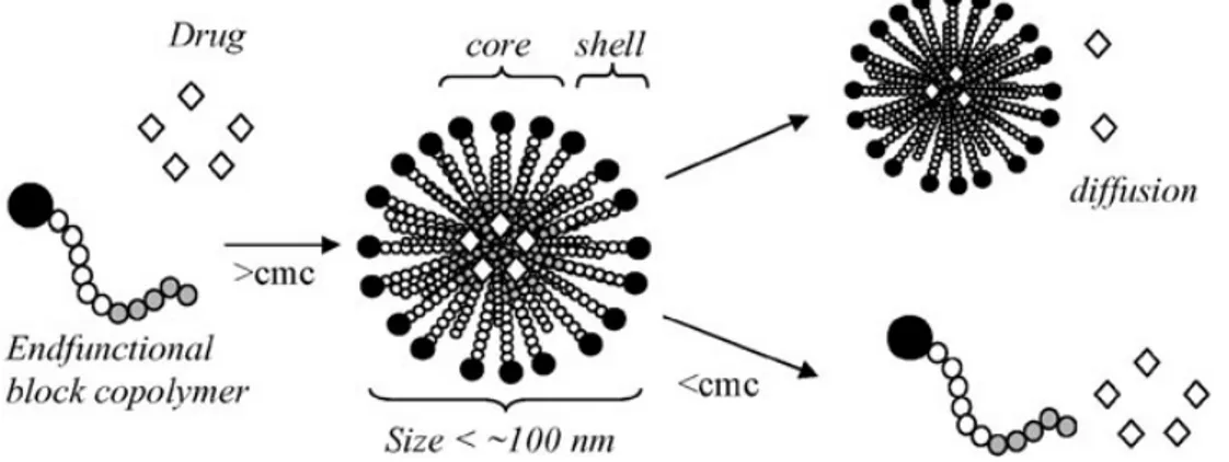 Figura 4: autoassemblaggio di copolimeri a blocchi in micelle 