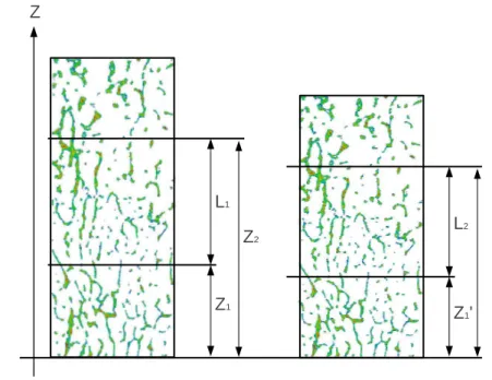 Figure 2.13: Specimen scheme: the model is shown before (left) and after (right) its solution