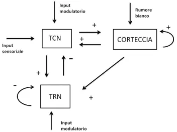 Figura  6.  Connessioni  tra  le  strutture  che  interagiscono  nel  modello  e  input  estrinseci dati in ingresso