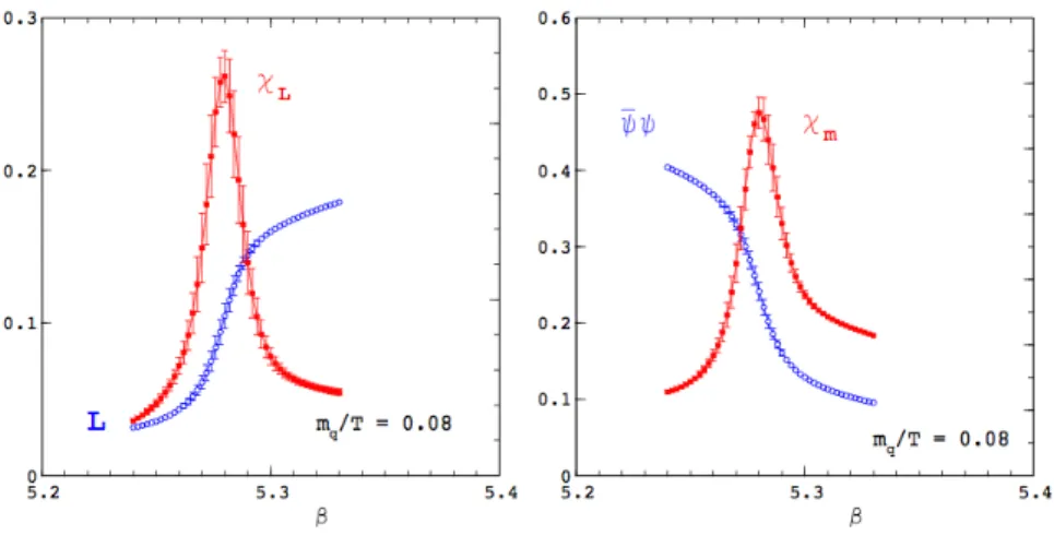 Figure 1.3: Left: Polyakov loop expectation value hLi and its temperature deriva- deriva-tive (Polyakov loop susceptibility χ L ) as a function of the lattice coupling β = 6/g 2 which is monotonically related to the temperature T (larger β correspond to la