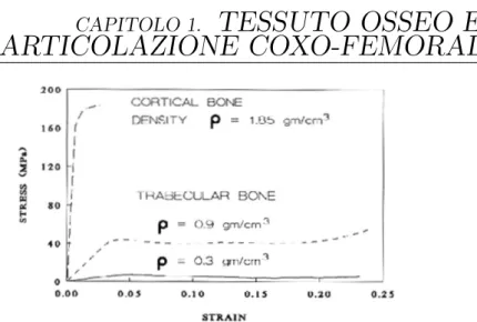 Figura 1.3: Curve tensione-deformazione per l’osso corticale e per l’osso spugnoso al variare della densit` a[2].