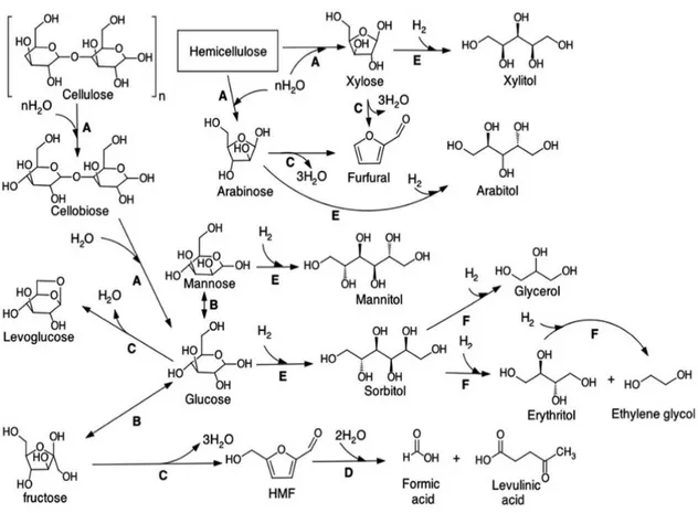 Figure  3:  Principal  reaction  pathways  for  the  conversion  of  cellulose.  The  reactions  identified  are  (A)  hydrolysis,  (B)  isomerisation,  (C)  dehydration,  (D)  rehydration,  (E)  hydrogenation  and  (F)  hydrogenolysis