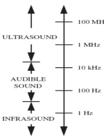 Figura 1.1 Range delle frequenze per gli ultrasuoni (tratto da [1]) 