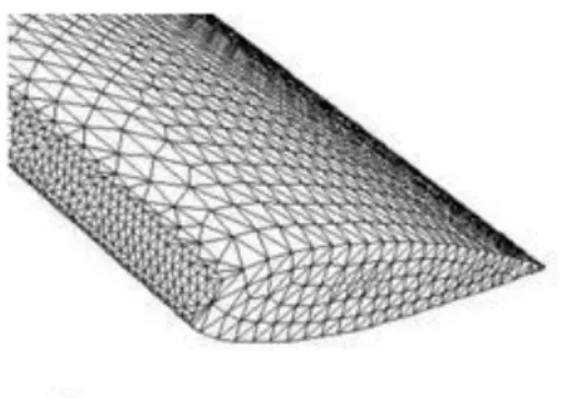 Figura 3: Rappresentazione di una mesh 
