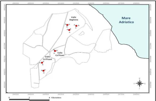 Figura 3.3 – Localizzazione dei campioni provenienti dalle Valli di Rosolina, e più precisamente da Valle Ca’Pisani  e  Valle  Bagliona