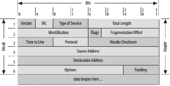 Figura 1.4: Header di un datagram IP