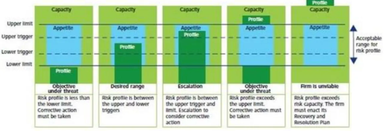 Figura 5 Deloitte: Risk Appetite concepts at a glance 