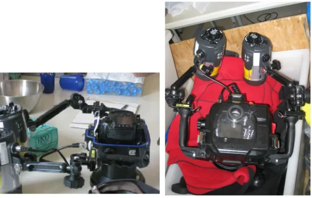 Fig. 3.1.4 A e B. Macchina Fotografica Nikon digitale subacquea con 2 flash. 