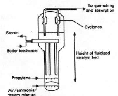 Figura 3. Diagramma schematico del reattore a letto fluido per la produzione di acrilonitrile da  propilene (Chauvel &amp; Lefebvre 1989) 