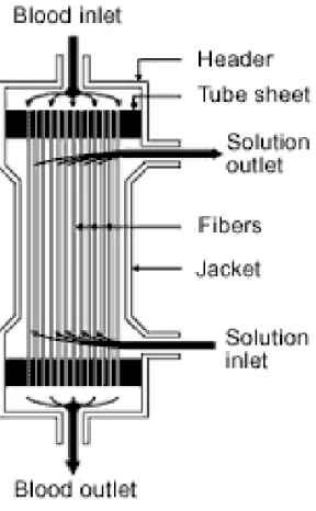 Figura 1.4: Fascio di fibre cave cilindriche utilizzato nel dializzatore  http://www.ufrgs.br/imunovet/molecular_immunology/hollow_fiber_dialyzer.gif 