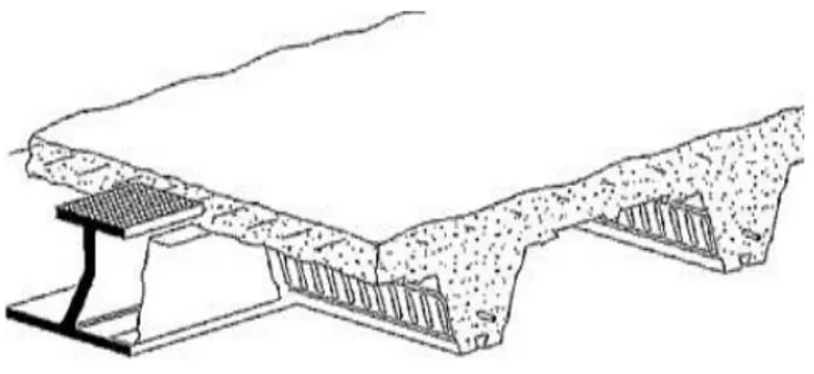 Figure 4. Steel-Concrete asymmetrical slim floor composite beam. 