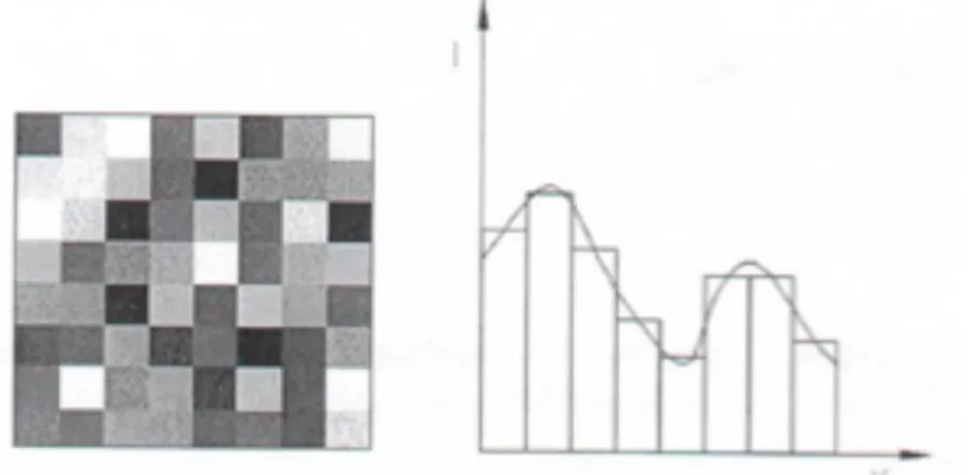 Fig.	
  1:	
  Sinistra,	
  scala	
  di	
  grigi	
  di	
  una	
  facet;	
  destra,	
  interpolazione	
  della	
  seconda	
   riga	
  della	
  facet.	
  