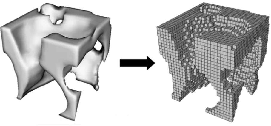 Fig.	
  10:	
  esempio	
  di	
  un	
  elemento	
  osseo,	
  discretizzato	
  al	
  FEM	
  [www.ucalgary.com]	
   	
  