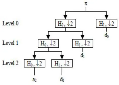 Figura 2.2: esempio di albero wavelet ( Analisi di segnali audio, Cristina Occhipinti)  In questo algoritmo i segnali di output che l’algoritmo produce sono chiamati “dettagli  cD”  e  “approssimazioni  cA”  e  sono  indicati  come  coefficienti  wavelet