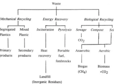 Figura 1.2 Strategie alternative allo smaltimento in discarica per la gestione dei rifiuti polimerici