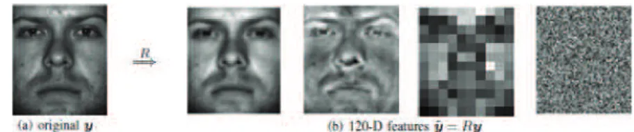 Figura 2.3: Alcuni esempi di estrazione delle feature di dimensione 120 applicati su un volto del data- data-base Extended Yale B