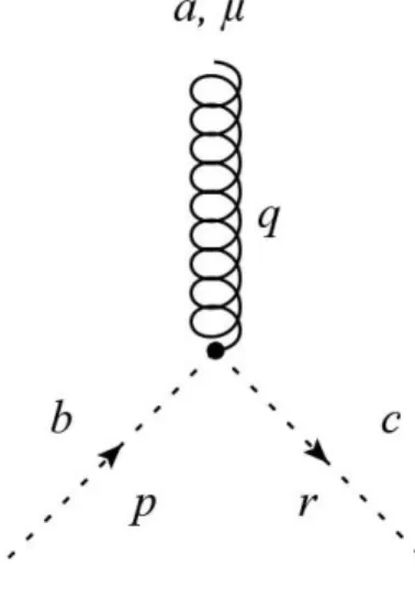 Figura 6: Diagramma di interazione fra gluone e campo ghost