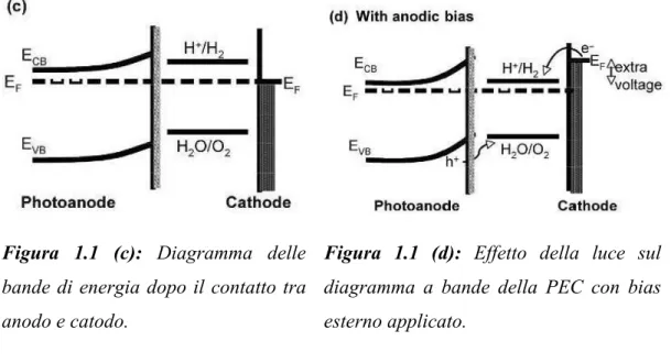 Figura 1.1 (c): Diagramma delle  bande di energia dopo il contatto tra  anodo e catodo